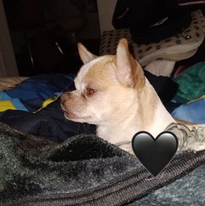 Meet your Posher, Esther h.